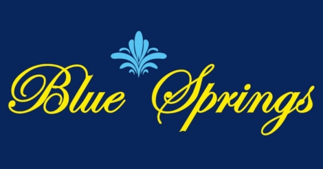 Logo 4